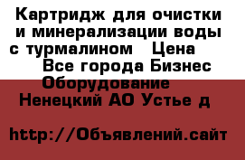 Картридж для очистки и минерализации воды с турмалином › Цена ­ 1 000 - Все города Бизнес » Оборудование   . Ненецкий АО,Устье д.